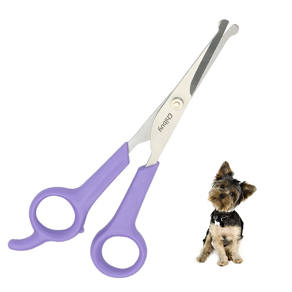 Chibuy Professional Pet Grooming Scissors with Round Tip Stainless Steel Dog Eye Cutter for Dogs and Cats, Professional Grooming Tool, Size 6.70" x 2.6" x 0.43" 1. Grey